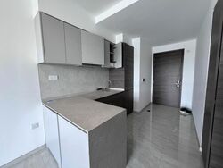 The Florence Residences (D19), Apartment #636955111
